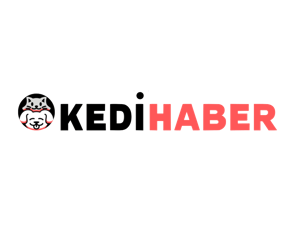 KediHaber - SUCUDO